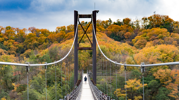 Kōyō: 17 of the Best Places to See Autumn Leaves in Japan